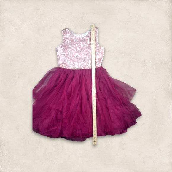 Preowned Rare Editions Pink/burgundy Embroidered Rhinestone Tulle Dress Girls 16 - Picture 3 of 9